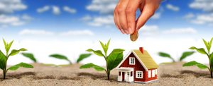 investing in property tips